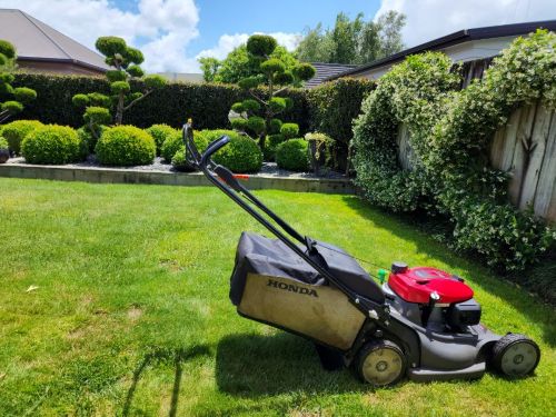 Lawn mowing service in Wellington